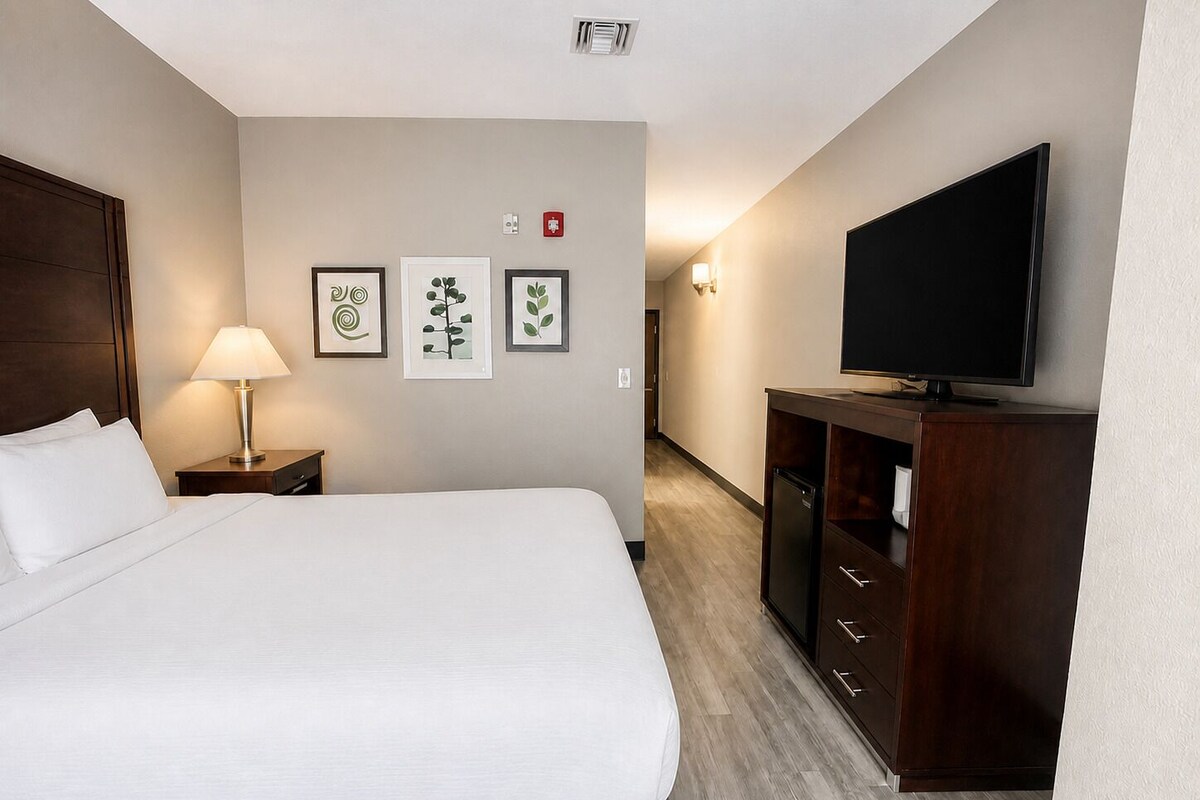 Suite, 1 Queen Bed, Accessible, Non Smoking | Down comforters, desk, laptop workspace, blackout drapes
