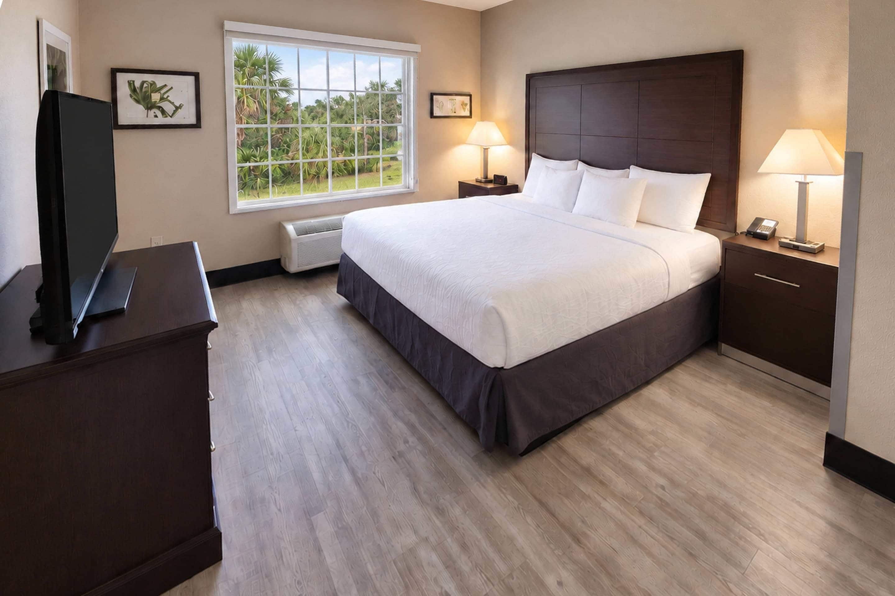 A hotel room with a large bed, bedside lamps, a TV, and a window with a view of greenery.