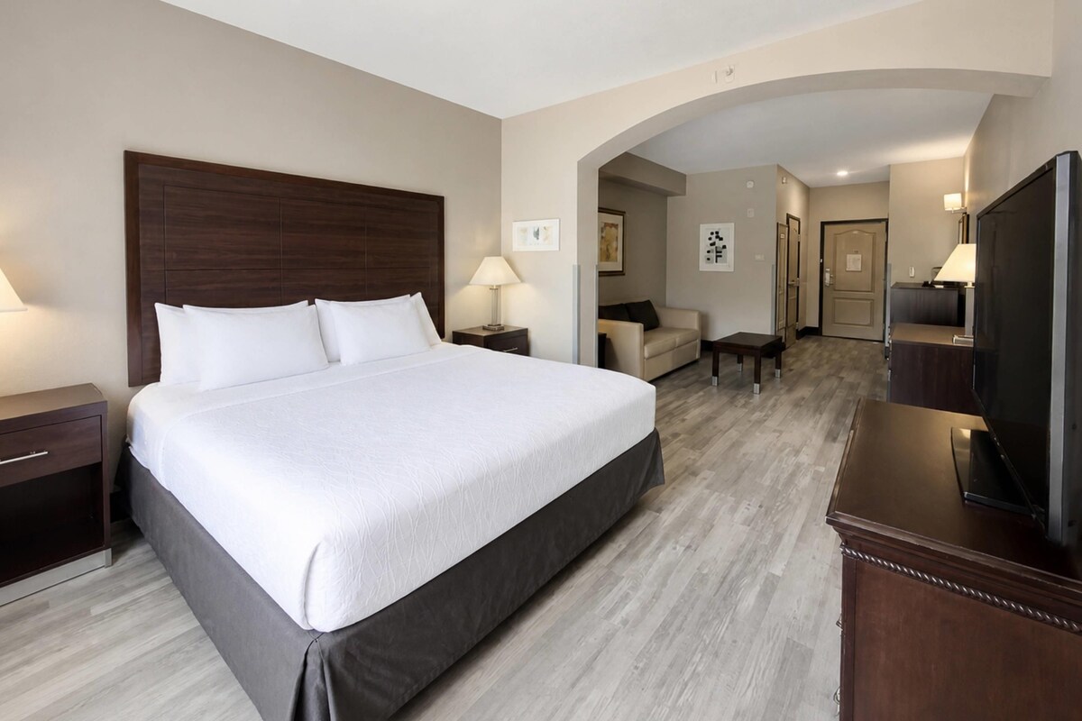 Een hotelkamer met een groot bed, een bureau, een stoel, een televisie en een deur.