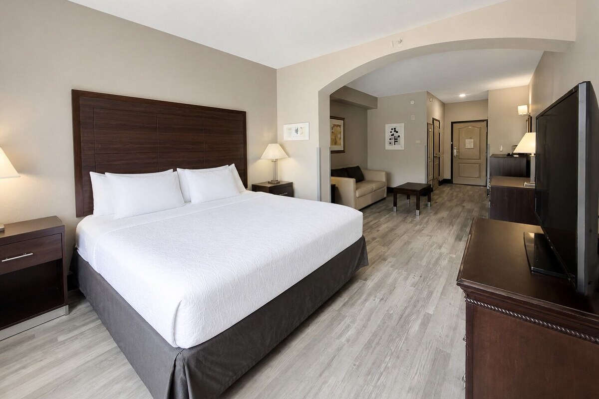 Studio Suite, 1 King Bed with Sofa bed, Non Smoking | Down comforters, desk, laptop workspace, blackout drapes