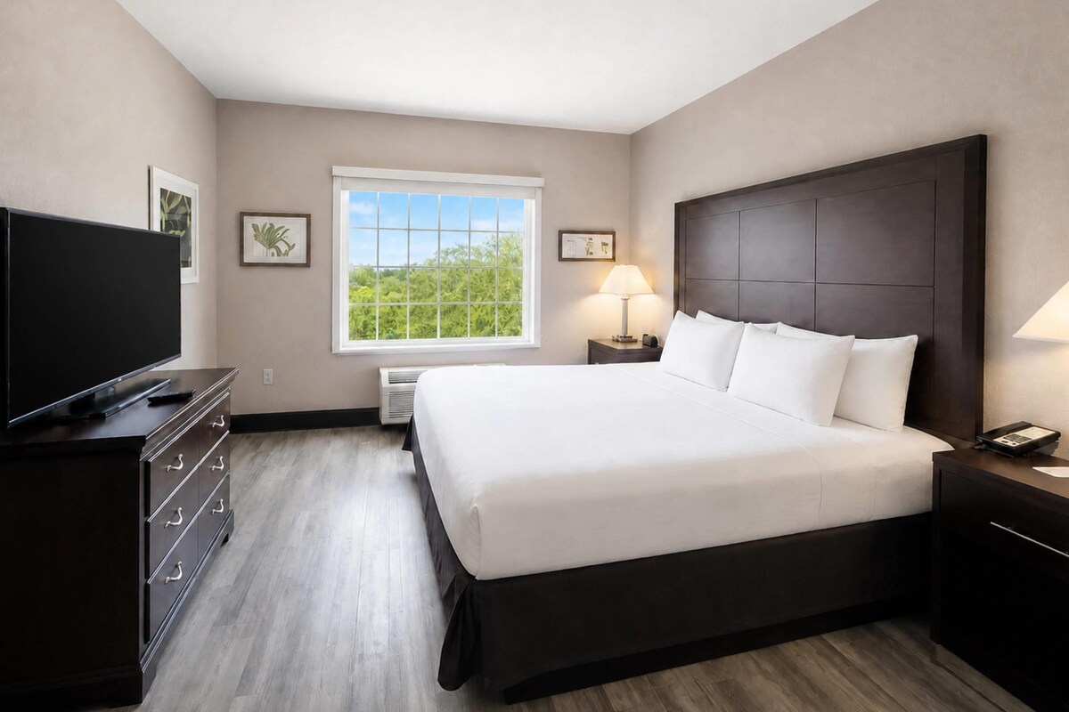 Een hotelkamer met een groot bed, een televisie, een bureau met lades, een raam met uitzicht op groen en een nachtkastje met een lamp.