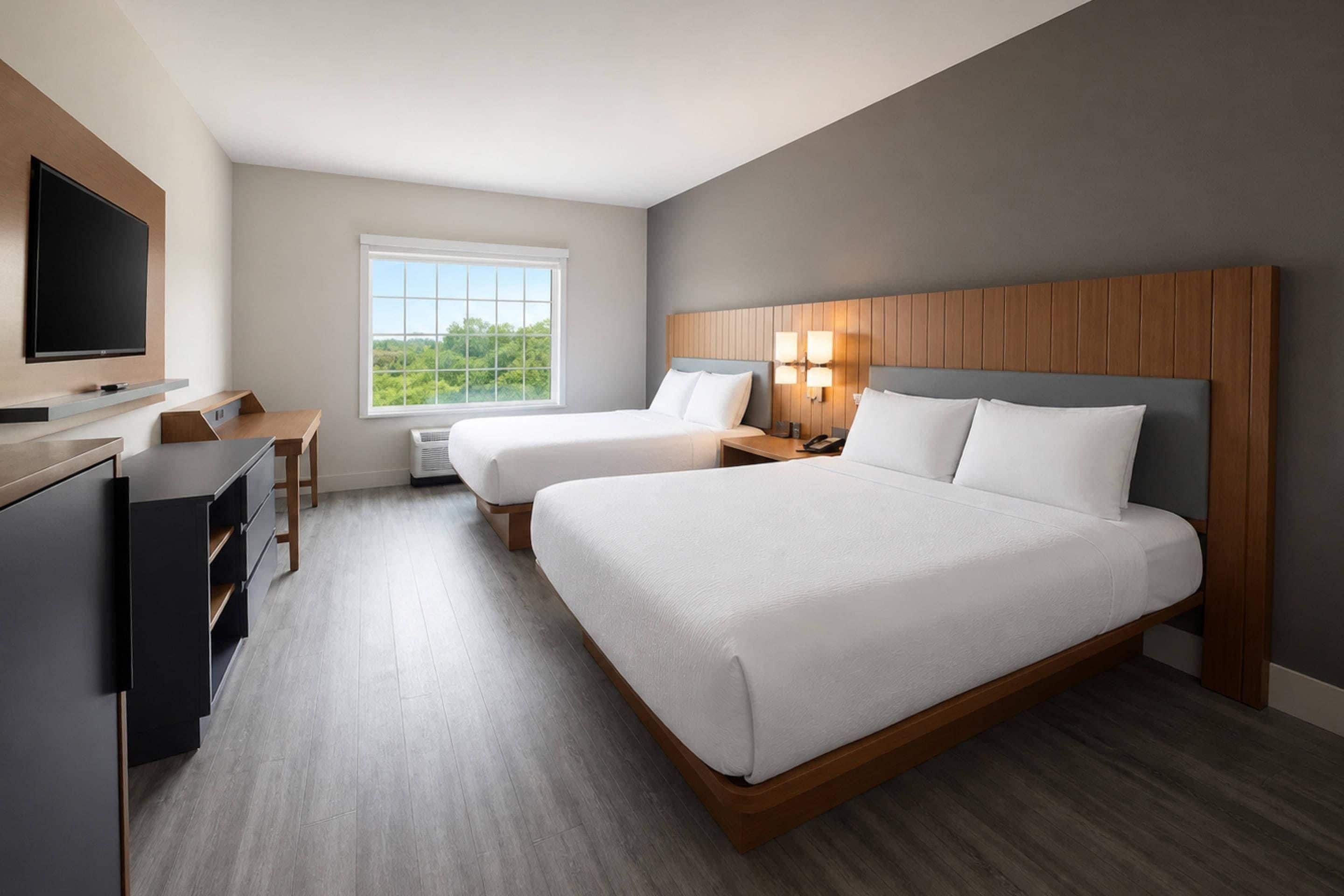 Habitación de hotel con una cama grande, un escritorio, un televisor y ventana con vistas a zonas verdes.