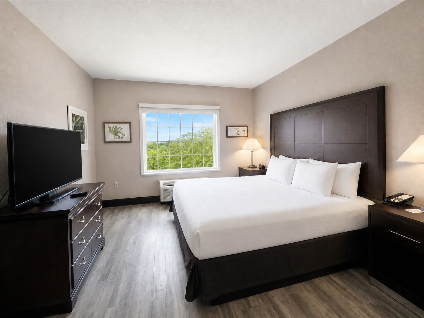 A hotel room with a large bed, a television, a window with a view, and a bedside table with a lamp.