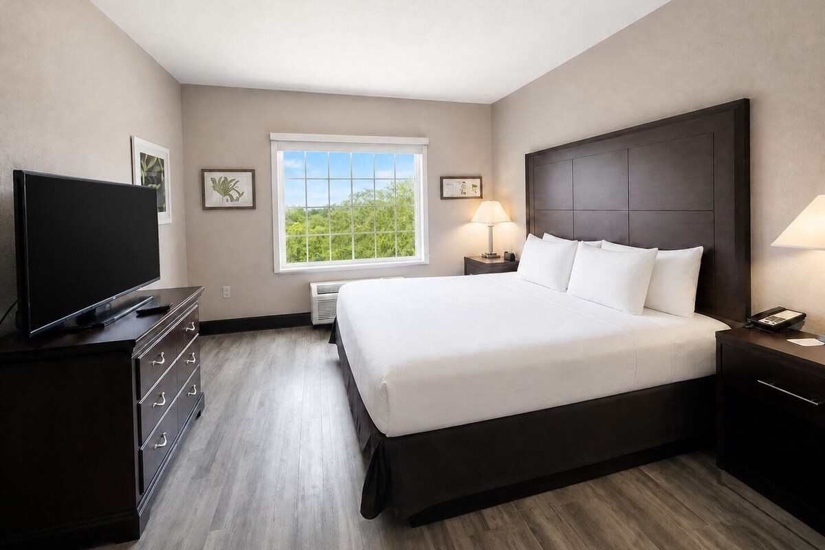 A hotel room with a large bed, a television, a window with a view, and a bedside table with a lamp.