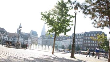 A cobblestone square with historic buildings, a fountain, and a tree in the foreground.