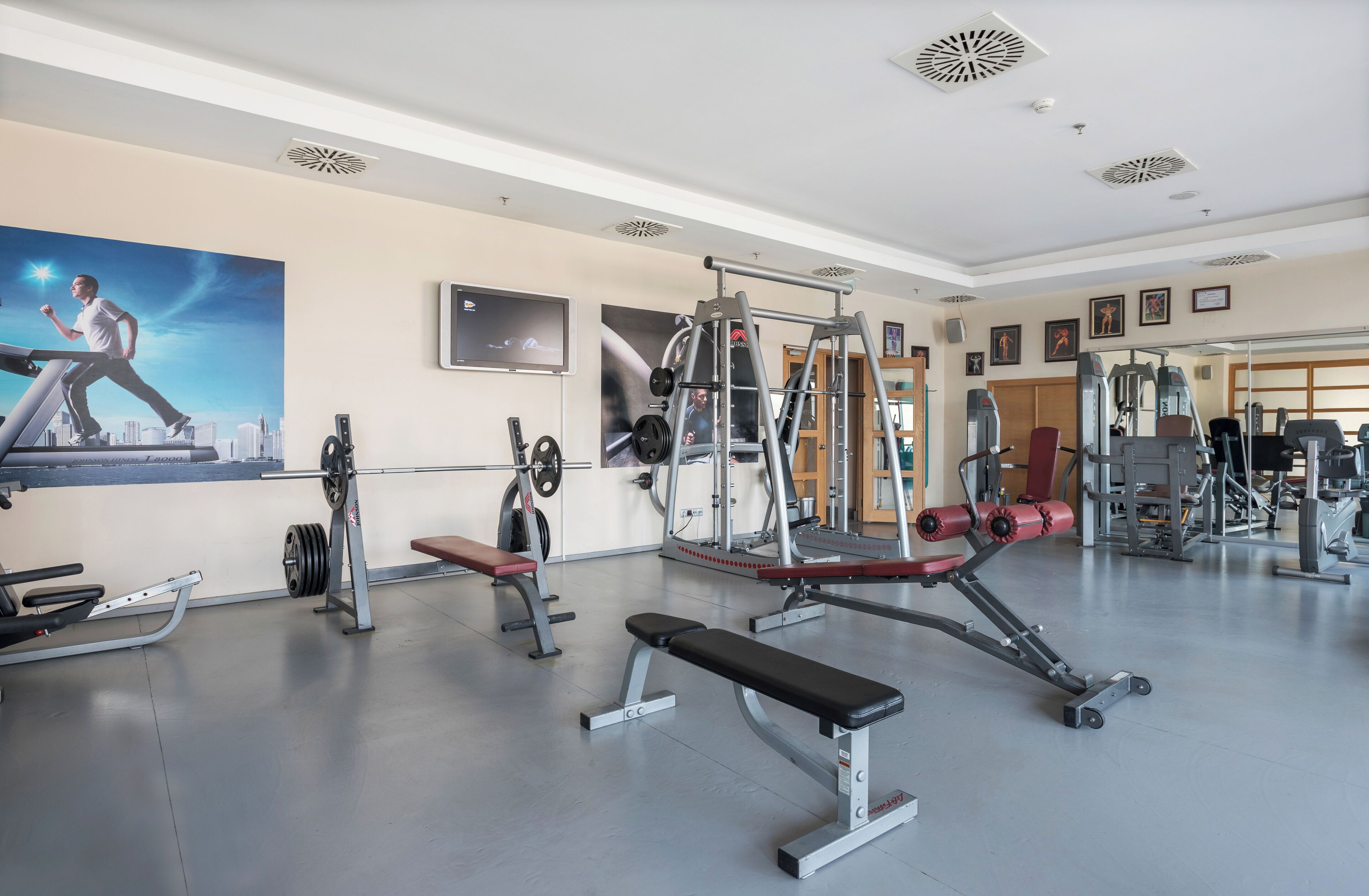 Un gimnasio con diversos equipos de ejercicio, incluyendo una banca, una estructura para sentadillas y máquinas de pesas.