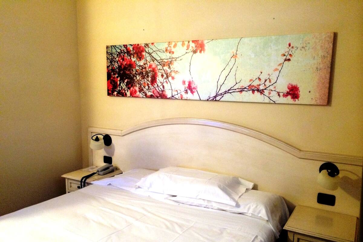 Standard Single Room | Minibar, in-room safe, desk, WiFi (free)