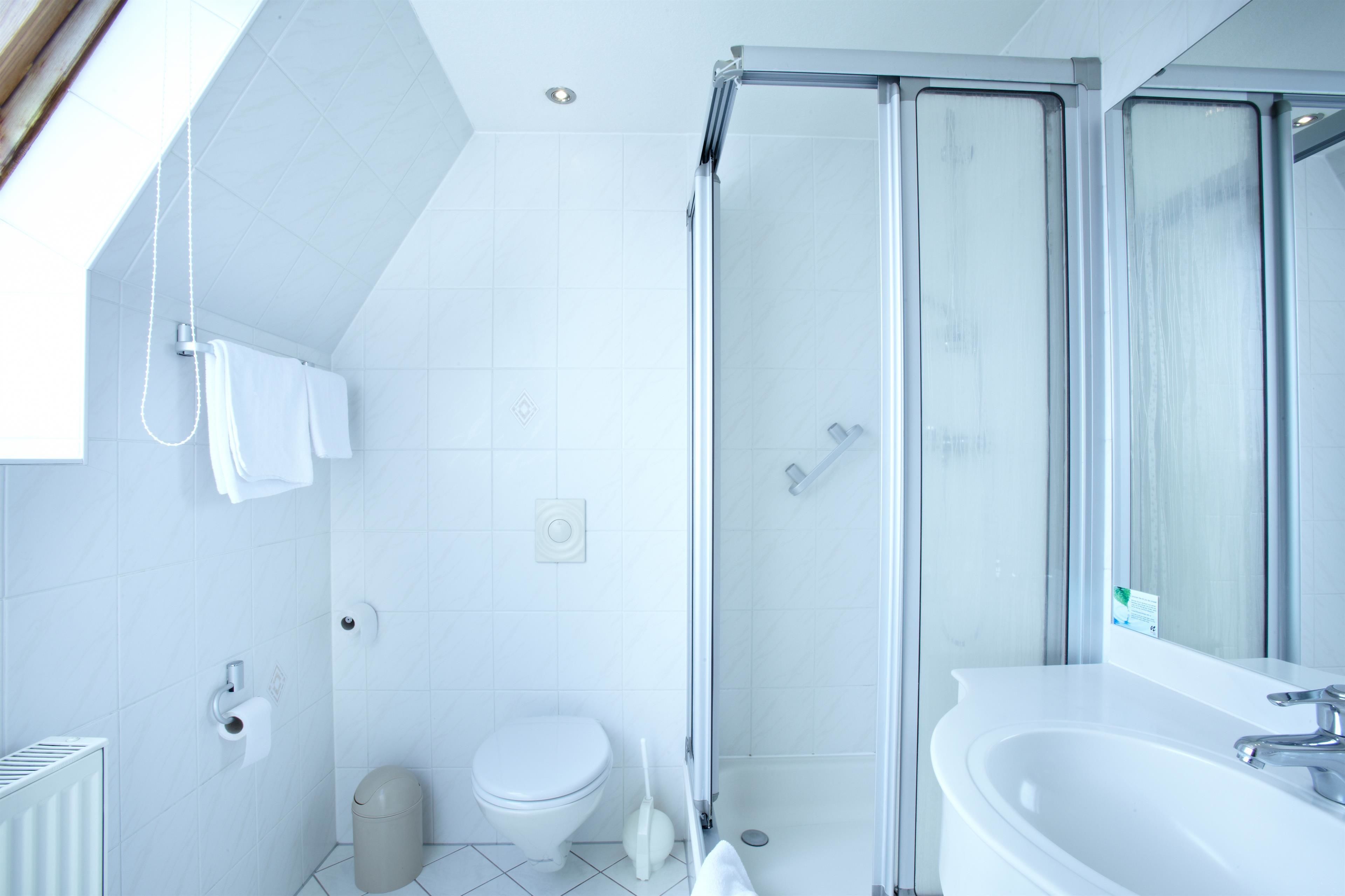 A modern bathroom with a glass-enclosed shower, a toilet, and a sink.
