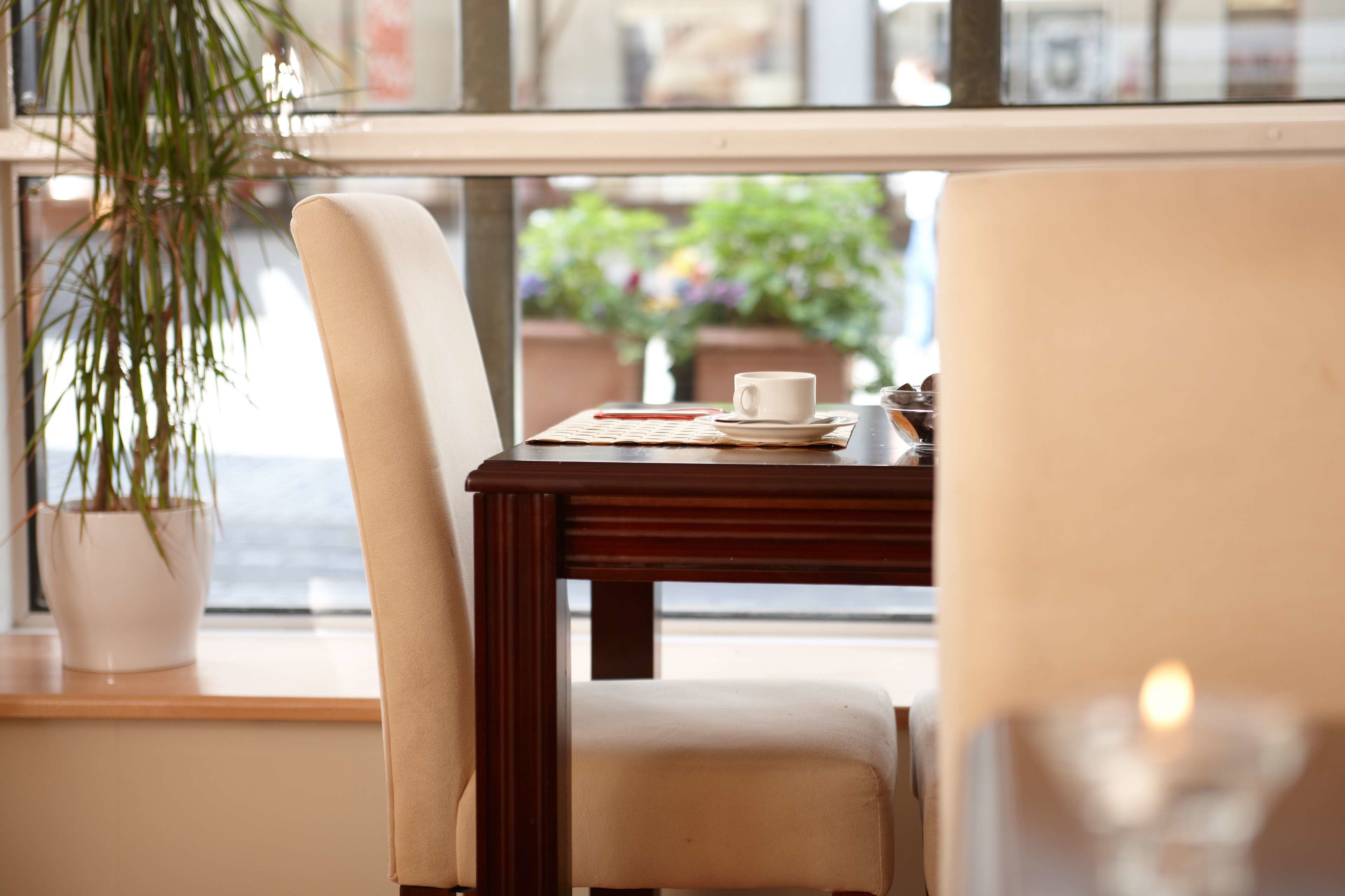 A dining area with a wooden table, chairs, a potted plant, and a window with a view of the outdoors.