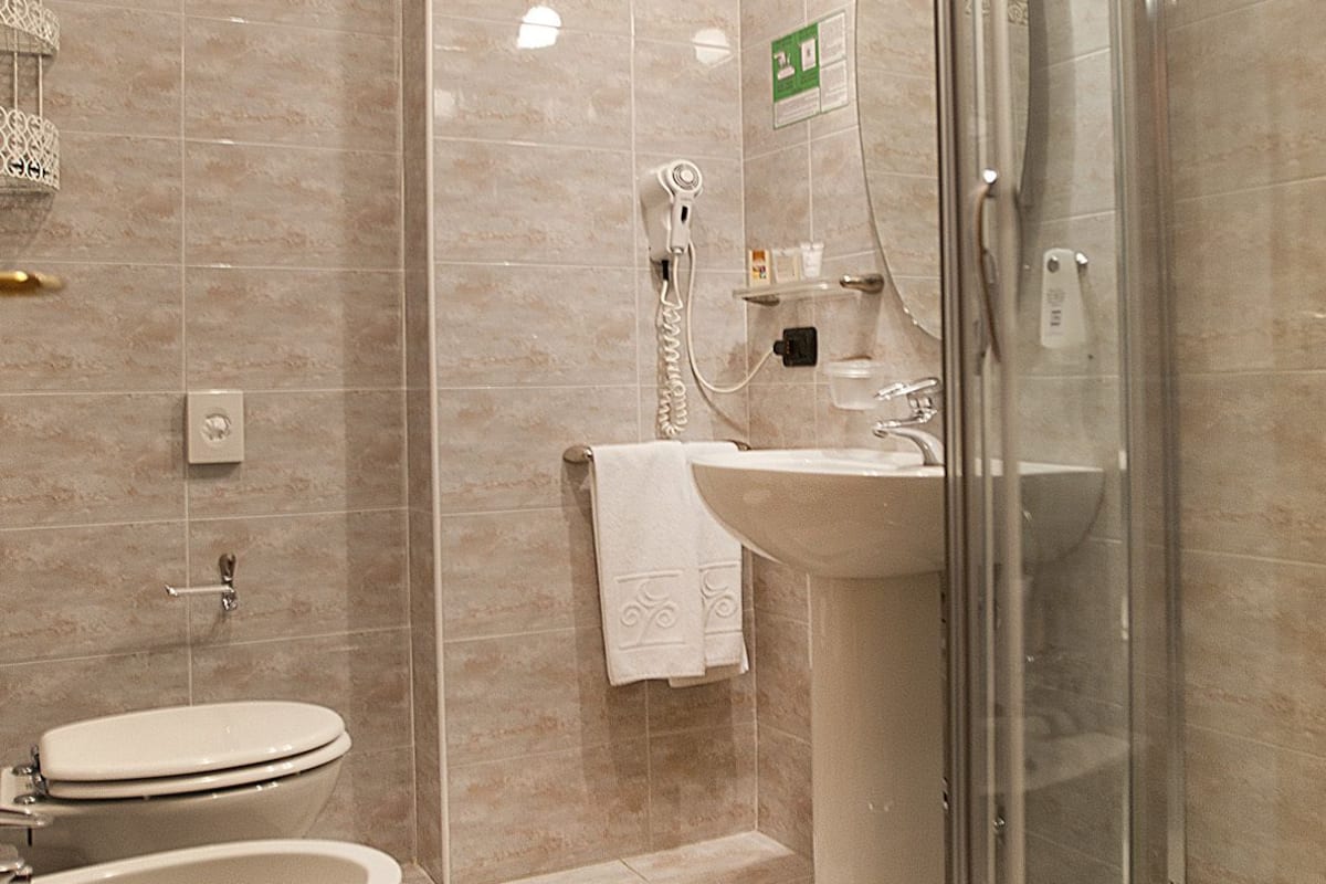 shower, free toiletries, hair dryer, bidet