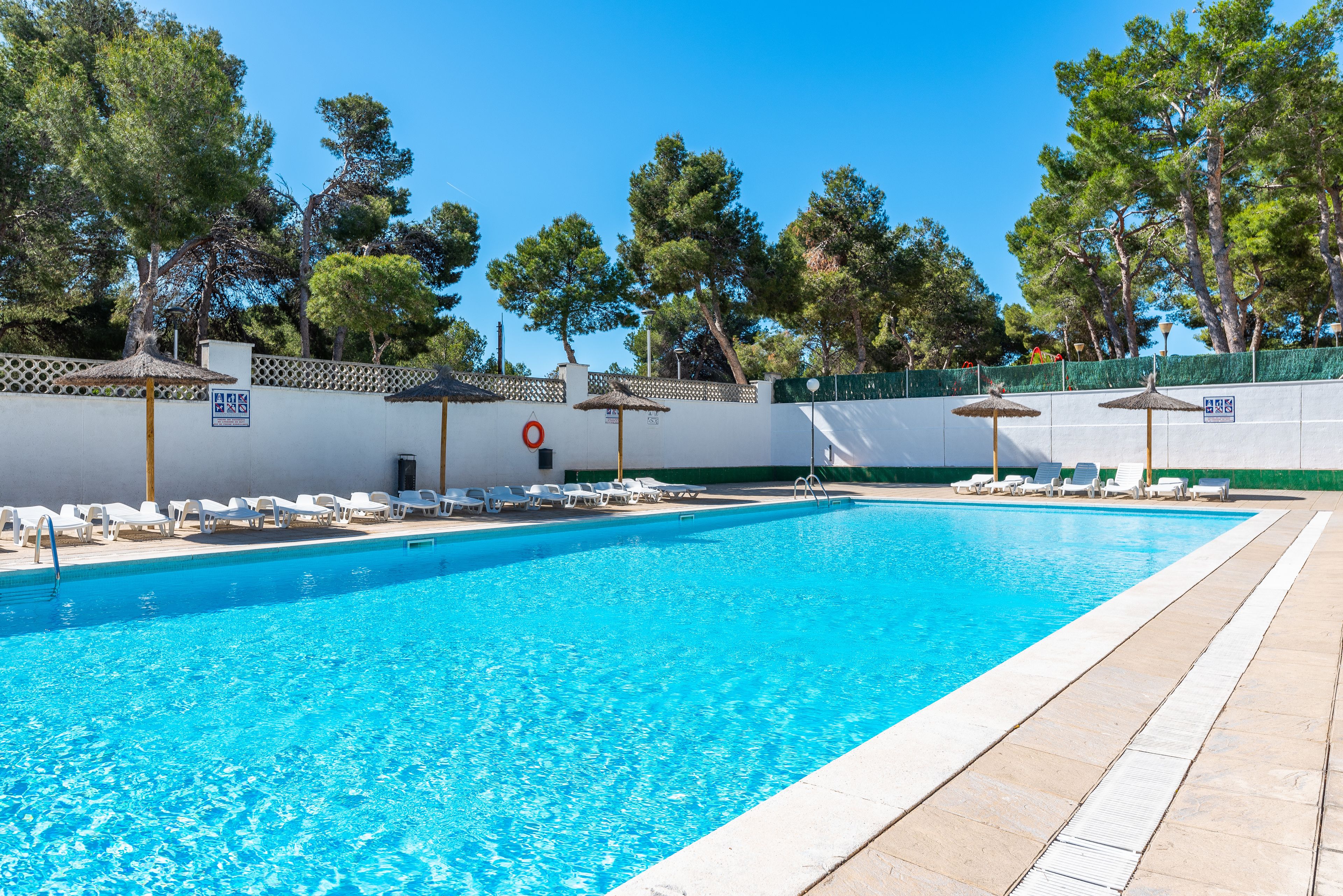 A swimming pool with lounge chairs and umbrellas, surrounded by trees and a fence.