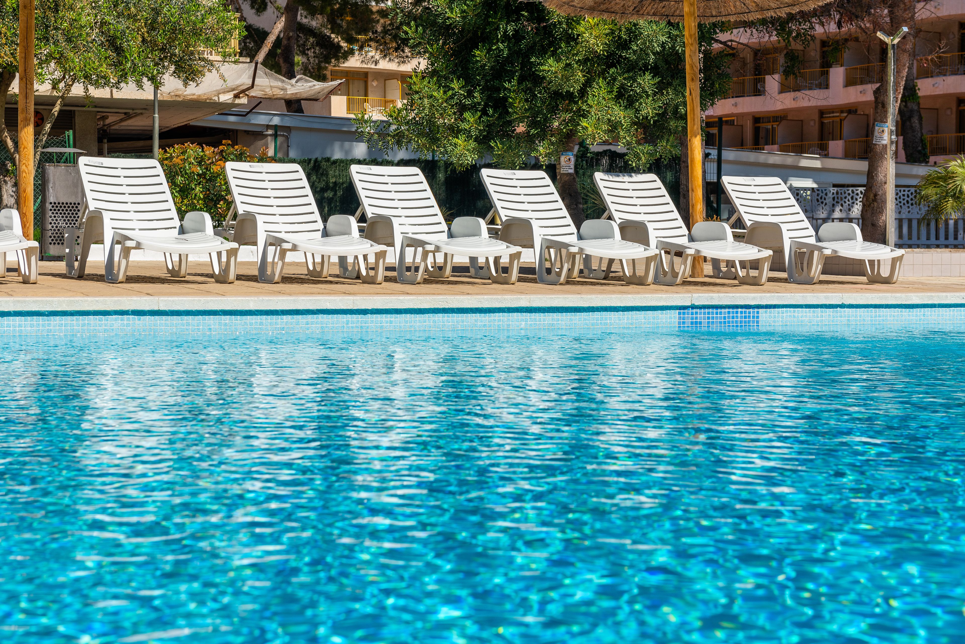 2 piscinas al aire libre, sombrillas, tumbonas