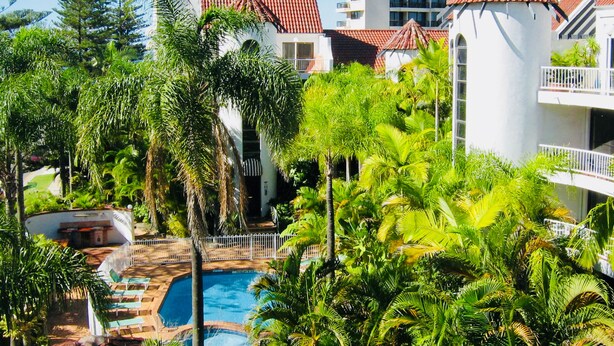 A resort with a swimming pool surrounded by lush greenery and palm trees.