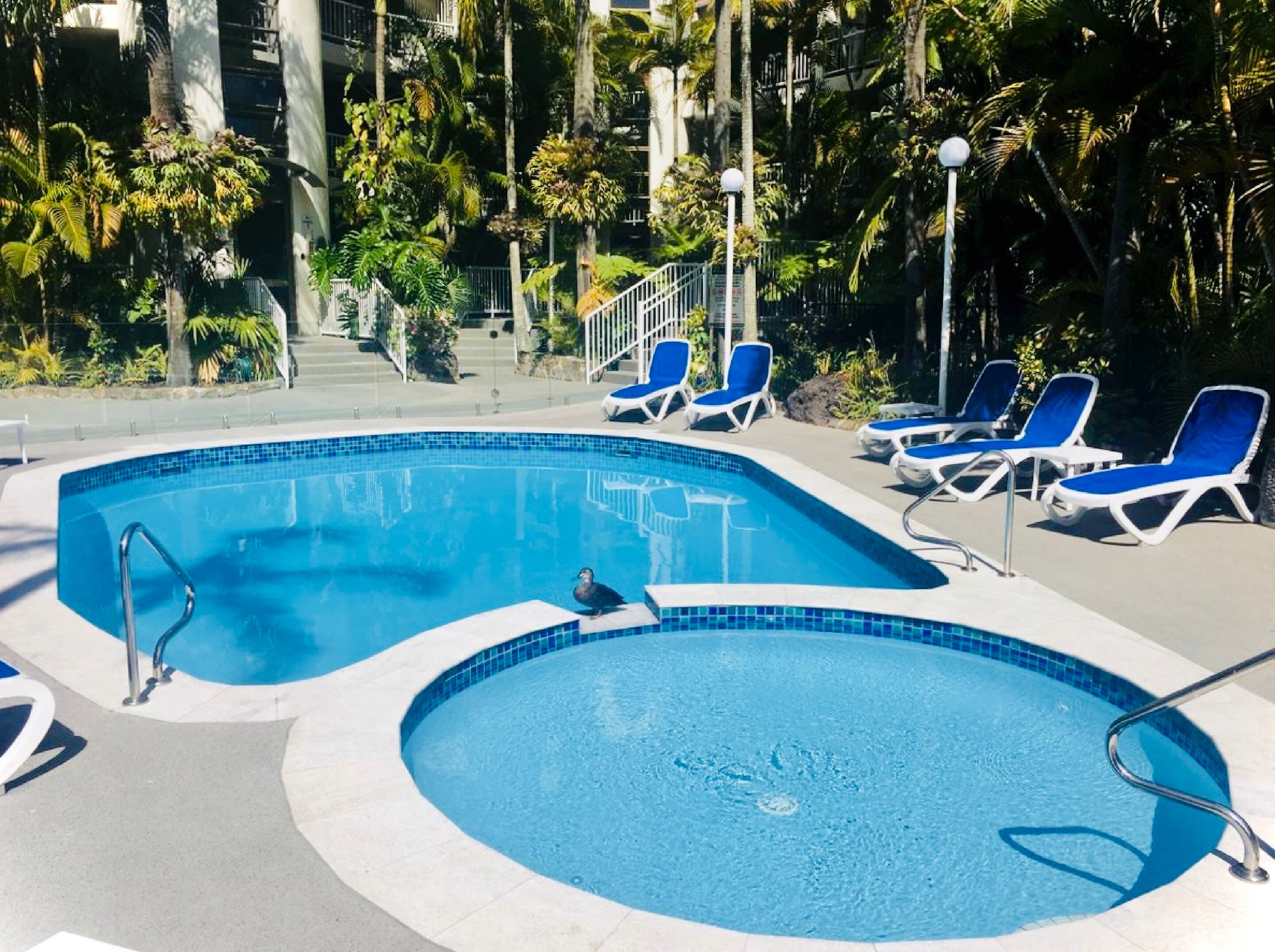 Copacabana Holiday Apartments — image 3