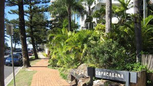 A paved pathway leading to a sign reading "COPACABANA" with lush greenery and palm trees on both sides.