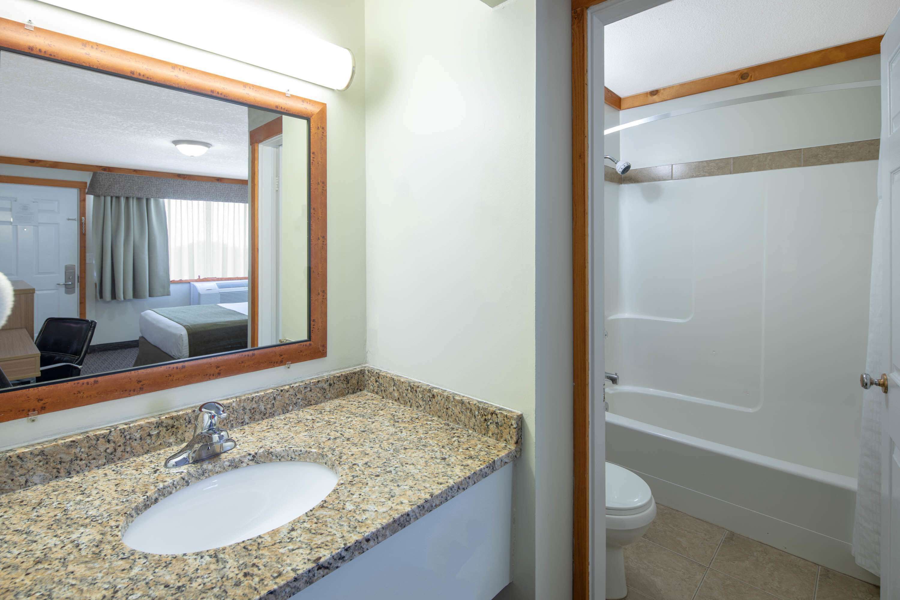 A bathroom with a granite countertop sink, a mirror, a shower, and a toilet.