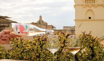 Una persona versa del vino in un bicchiere, con altri due bicchieri e una bottiglia con l'etichetta 'Frappo' in primo piano, su uno sfondo che include un edificio e un albero con foglie verdi.