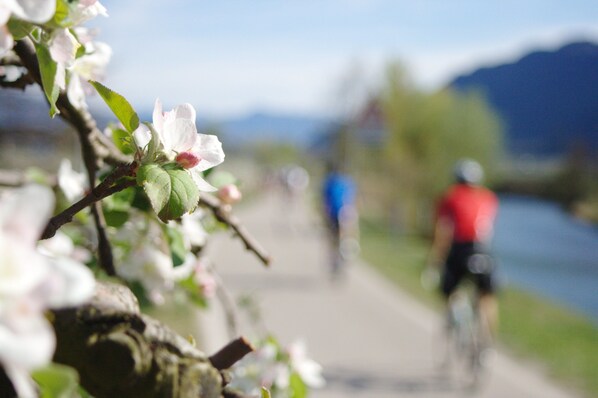 A river with cyclists on a path, surrounded by greenery and mountains in the background. - Hotel Sparerhof (Terlano)