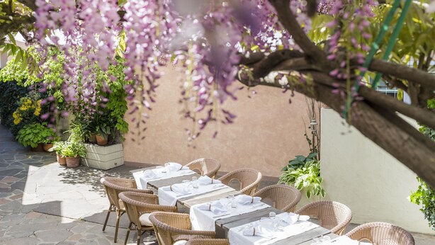 Un patio exterior con mesas y sillas de mimbre, rodeado de plantas en macetas y enredaderas florecientes.
