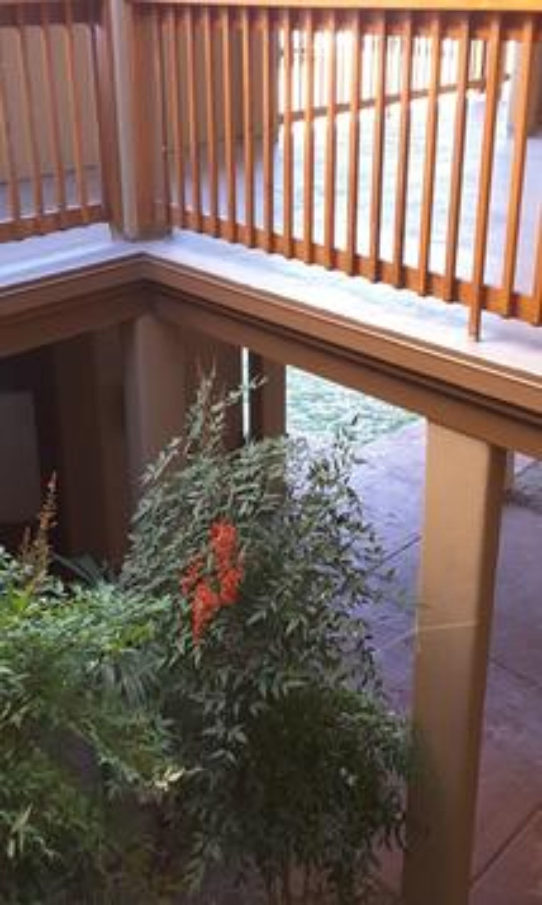 A corner of a room with a wooden railing and a potted plant with green foliage and red flowers.