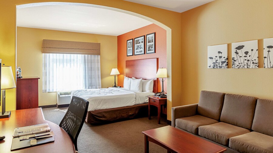 Sleep Inn & Suites Tyler South