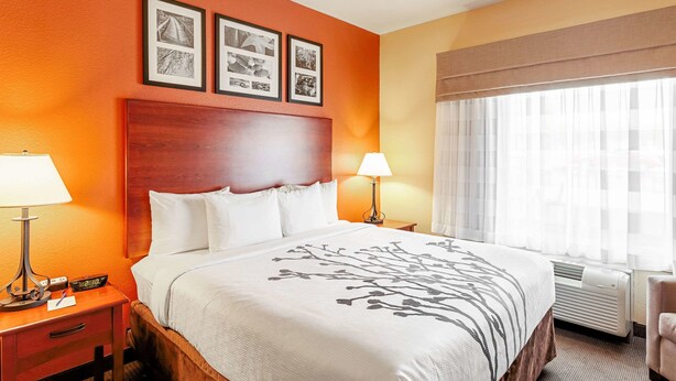 Een hotelkamer met een groot bed, twee nachtkastjes met lampen, een hoofdeinde en een raam met gordijnen.