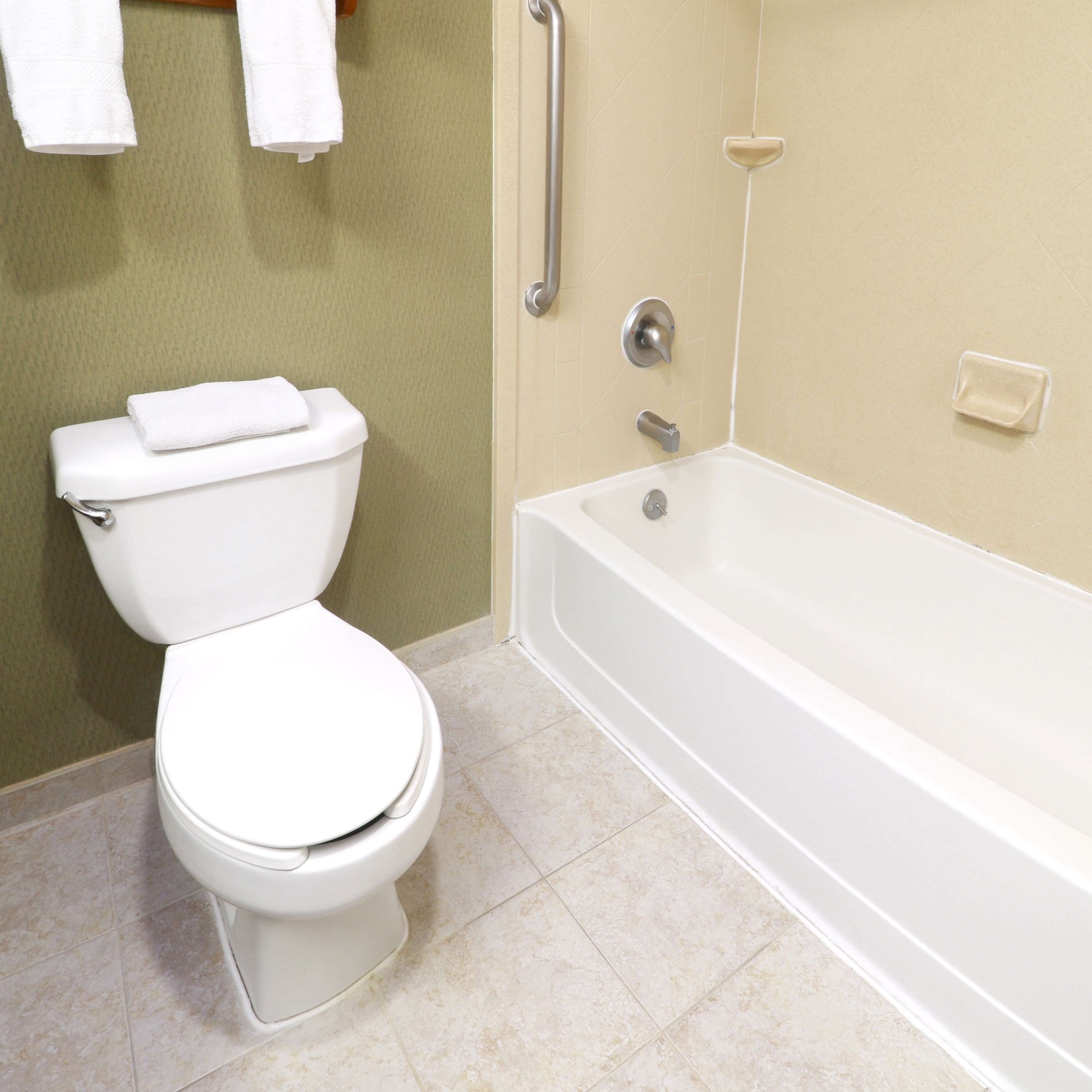 A bathroom with a toilet, a bathtub, and a shower area.
