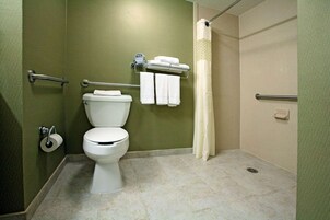 Un baño con inodoro, toallero, cortina de ducha y pasamanos.
