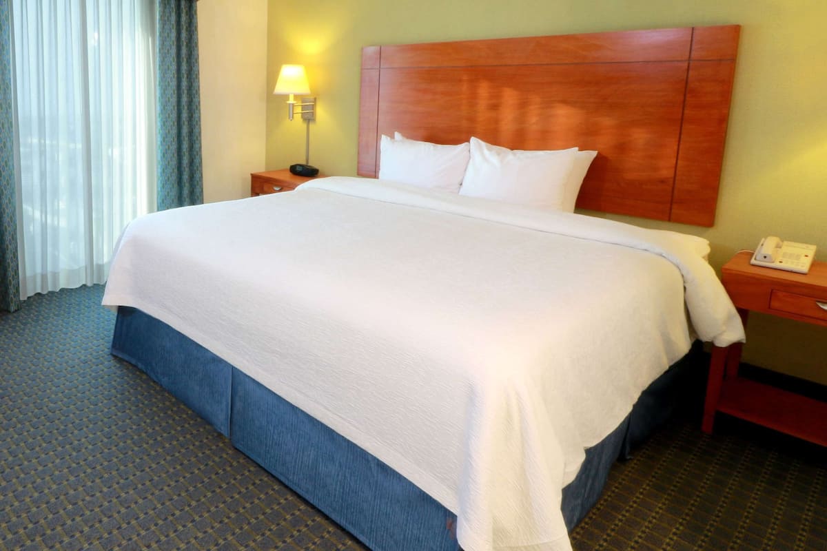 studio suite, 1 king bed | view from room