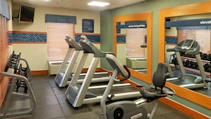 Een fitnessruimte met loopbanden, elliptische trainers en een spiegelwand.