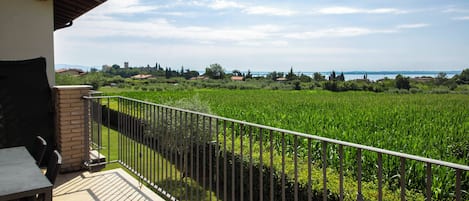 A balcony with a view of a green field and distant buildings.