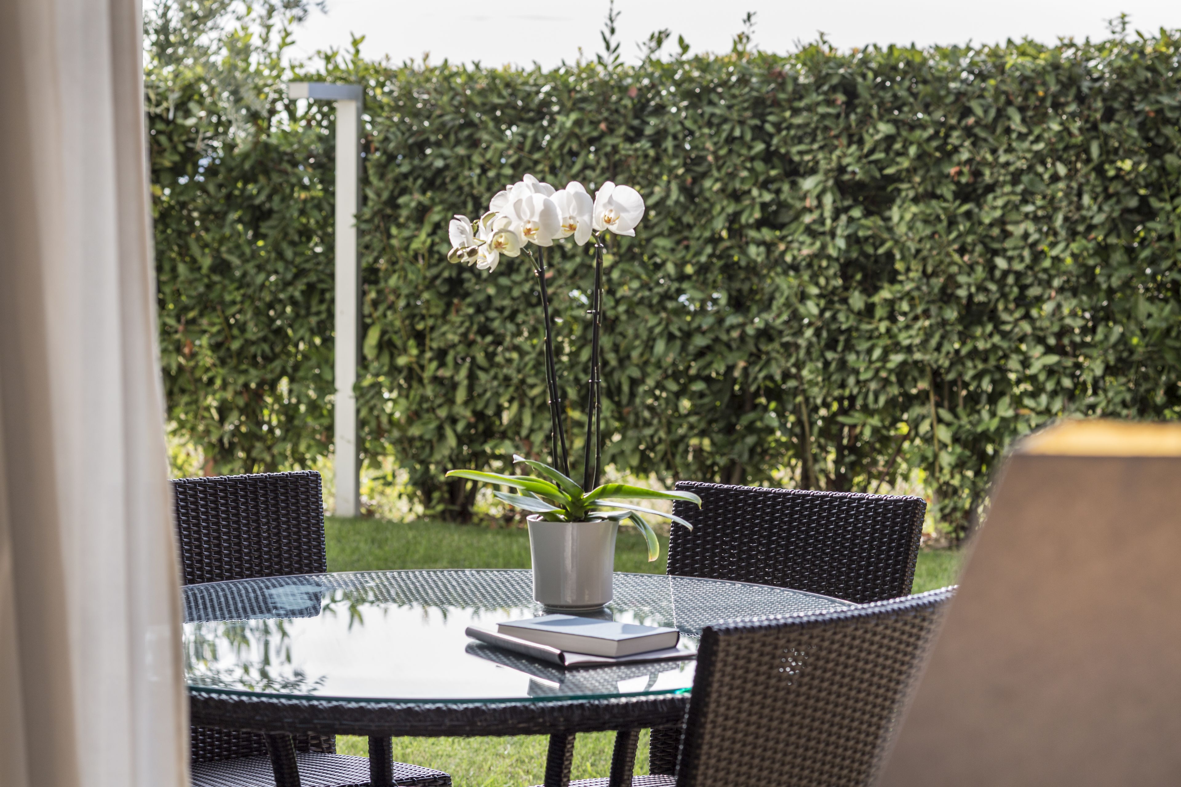 A round glass table with a potted plant and a book, surrounded by wicker chairs, set outdoors with a hedge in the background.