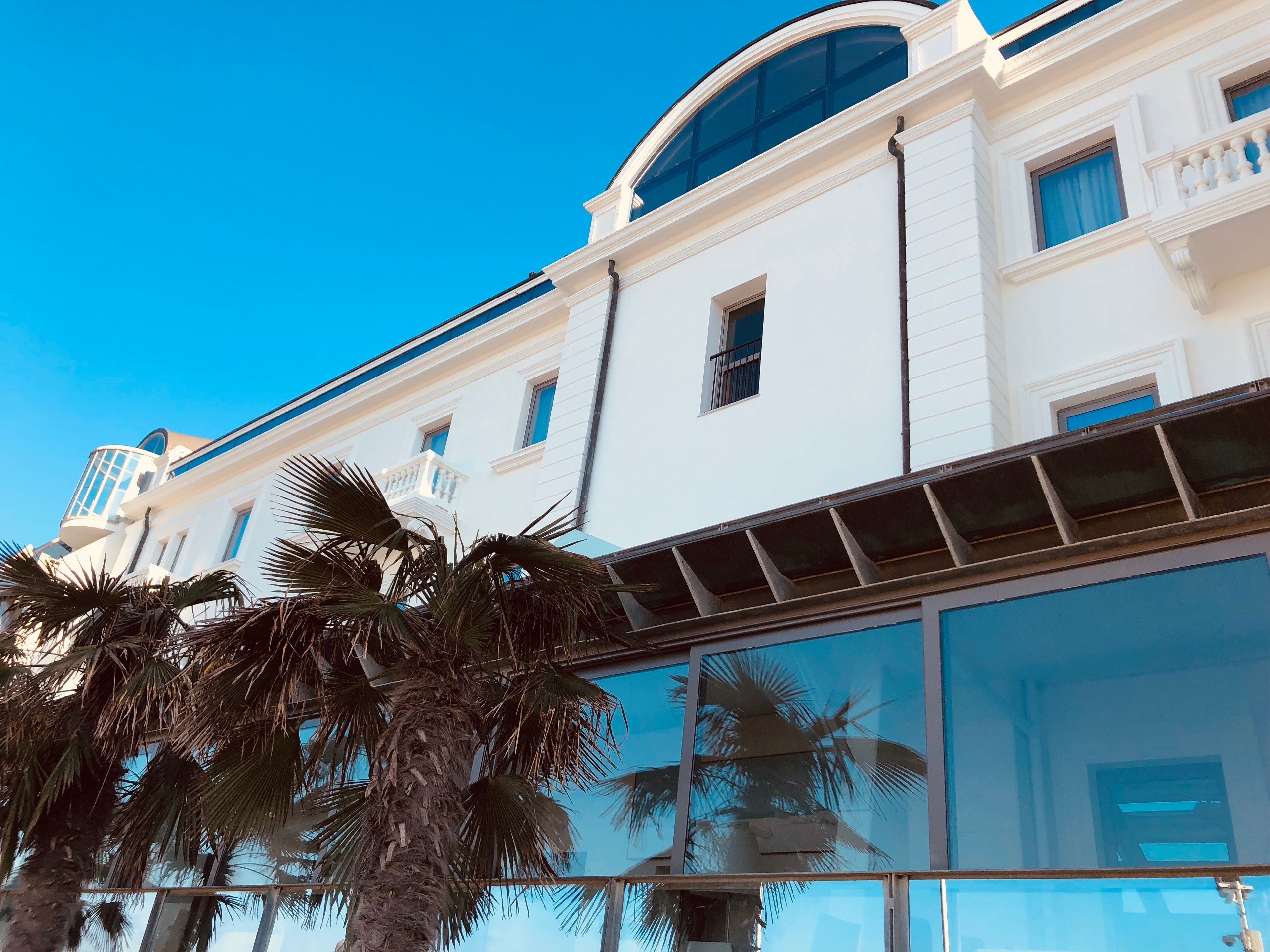 Un edificio blanco con ventanas amplias y techo curvo, rodeado de palmeras.