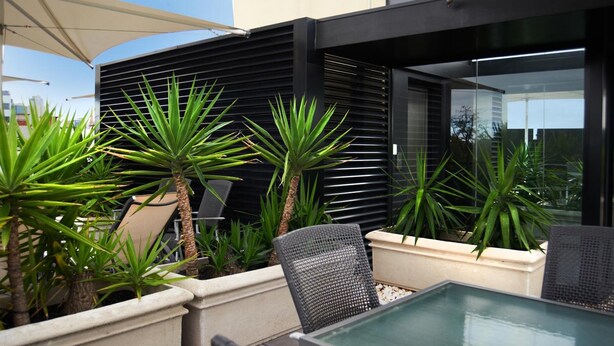 Un patio exterior con una mesa y sillas de vidrio, rodeado de plantas en macetas y una fachada de edificio moderna.
