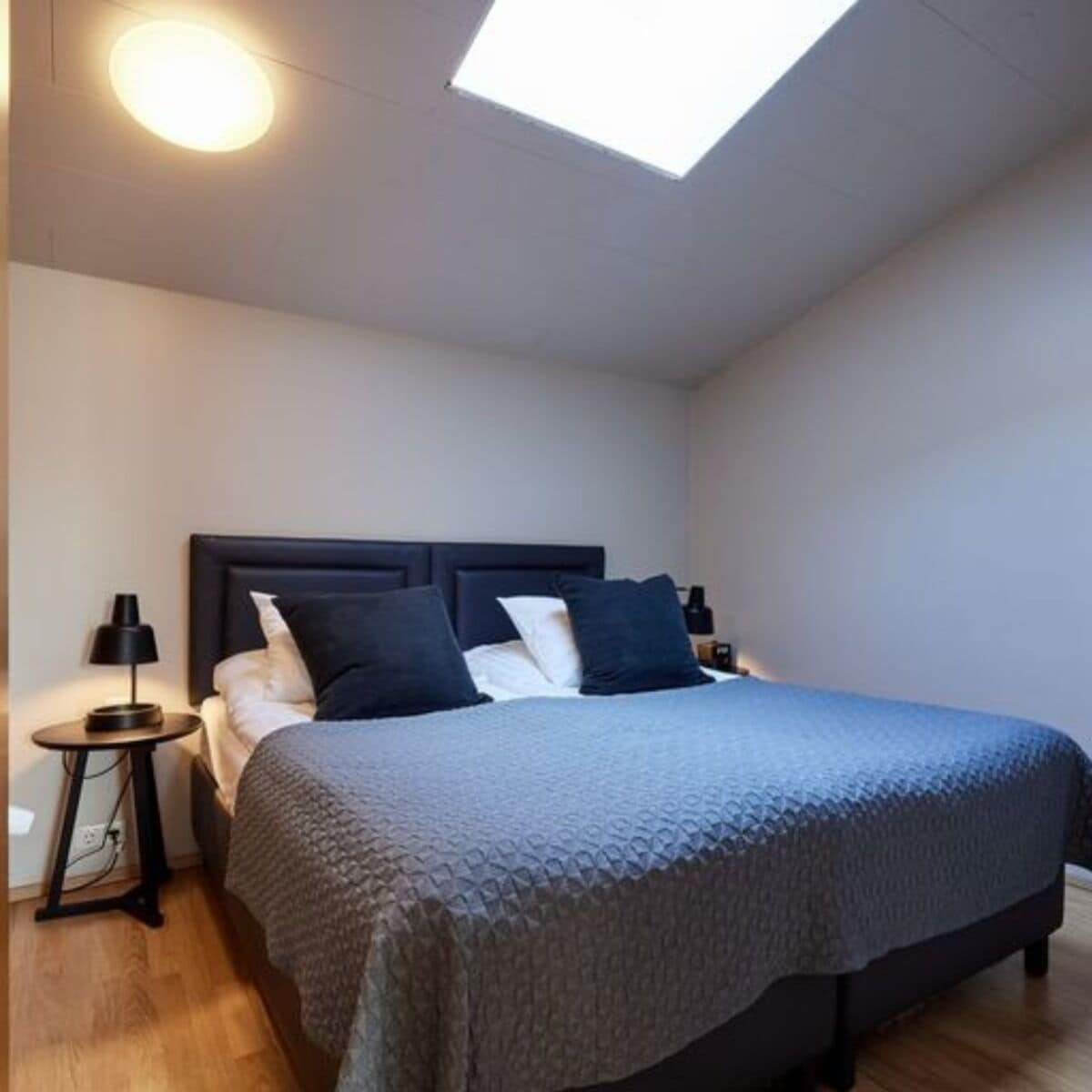 Minibar, in-room safe, blackout drapes, iron/ironing board (on request)