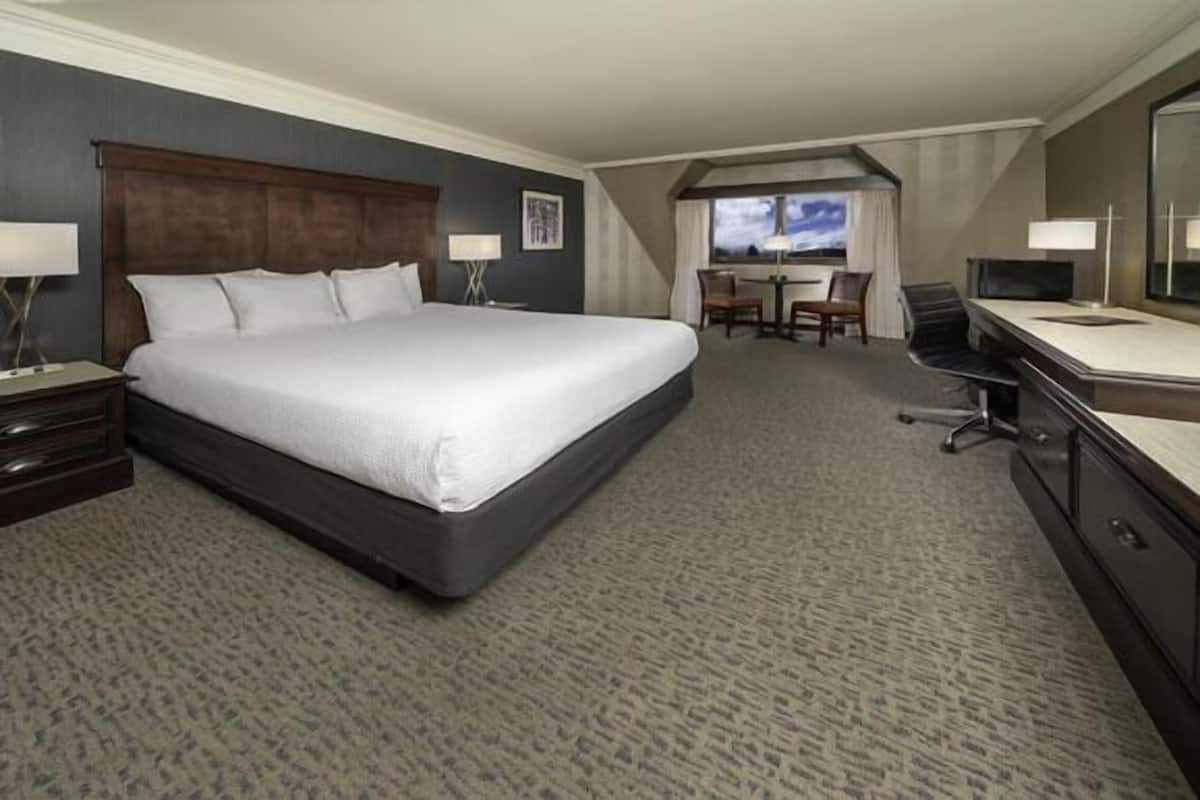 Une chambre d’hôtel avec un grand lit, un bureau, une chaise et un téléviseur.