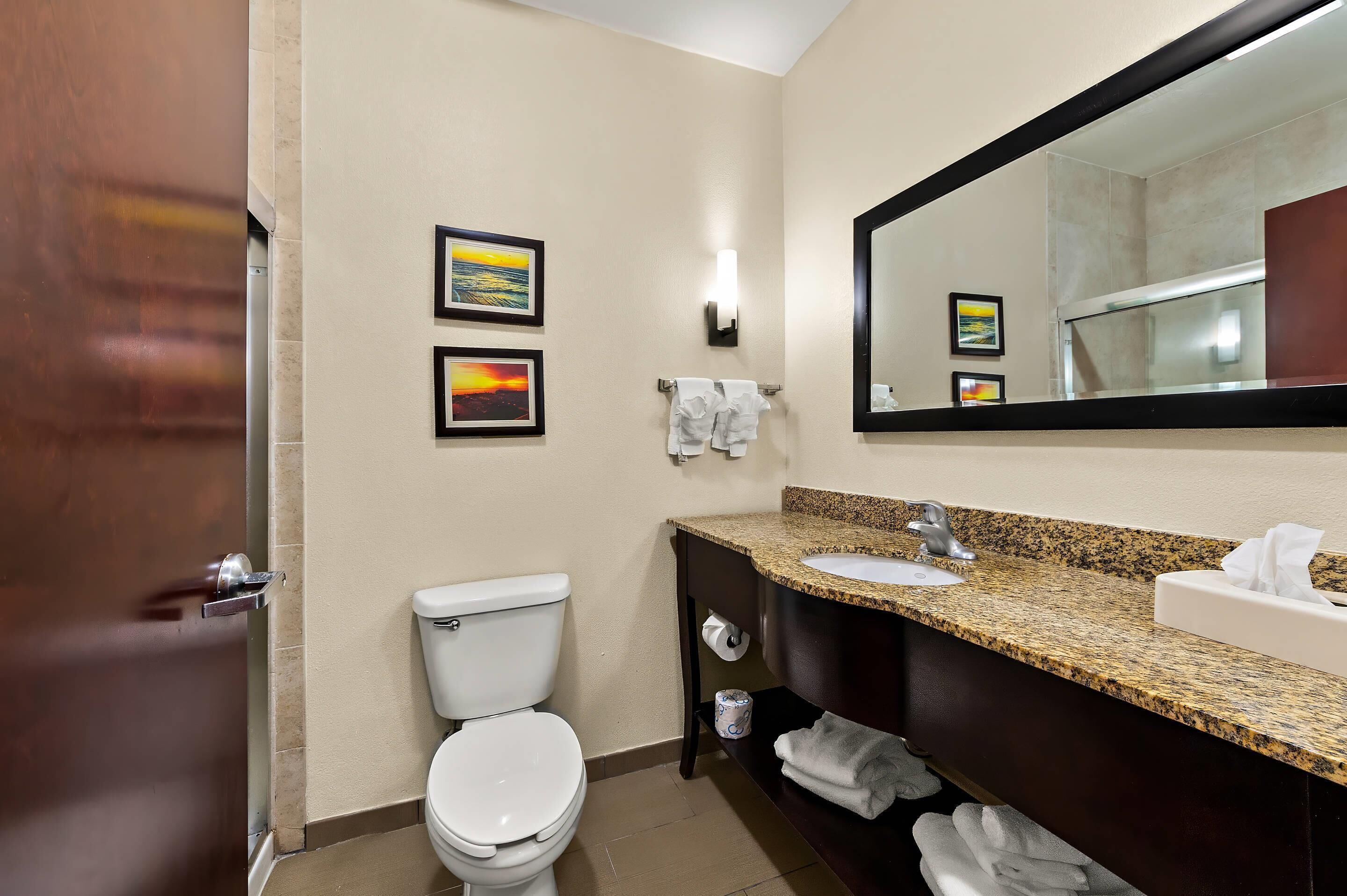 Een badkamer met toilet, wastafel en spiegel. Handdoeken en een foto hangen aan de muur.