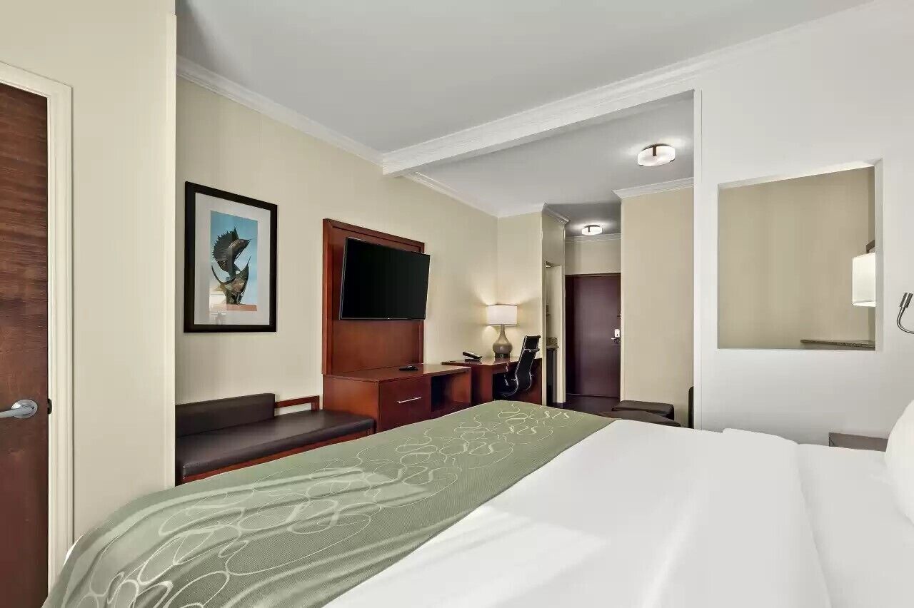 suite, 1 king bed with sofa bed, accessible, non smoking | desk, iron/ironing board, free wifi, bed sheets