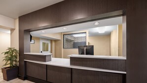 A modern reception desk with a large mirror, a potted plant, and a decorative wall panel.
