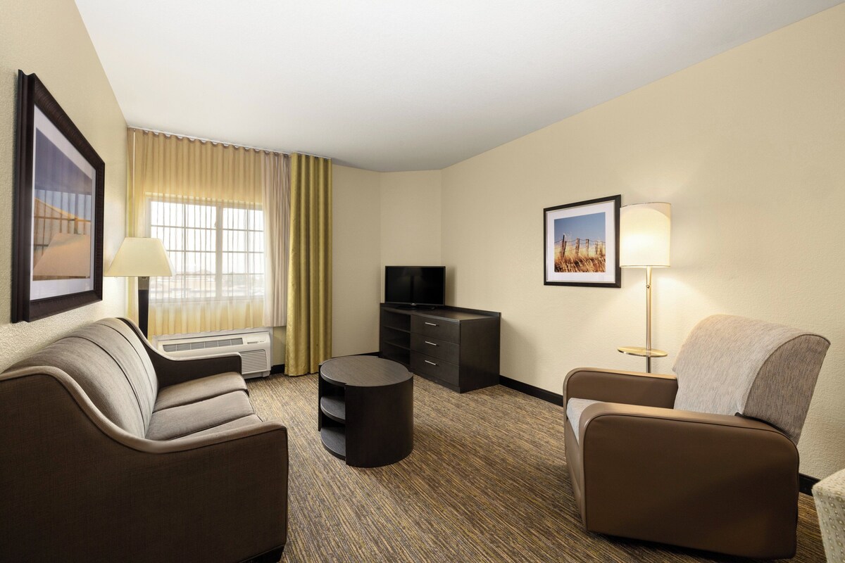 A hotel room with two sofas, a TV, a small table, a lamp, and a picture on the wall.