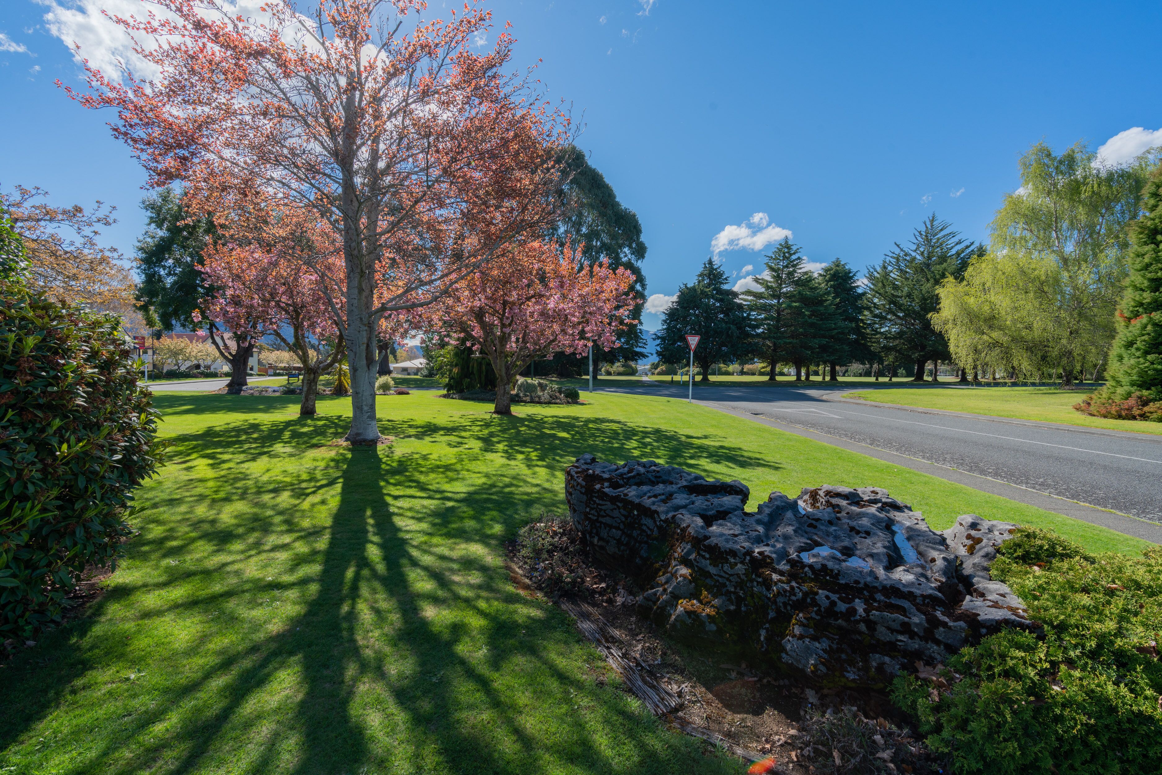 A park with a stone wall, green grass, and trees with pink blossoms.