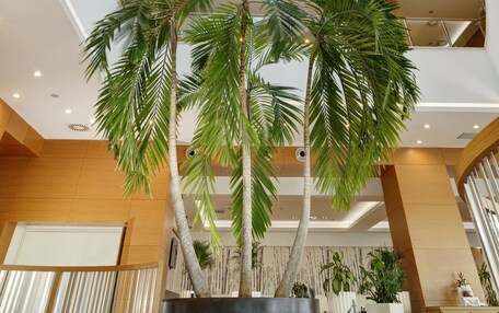 A modern atrium with a large glass ceiling, allowing natural light to fill the space. There are multiple levels visible, with a central palm tree adding greenery.