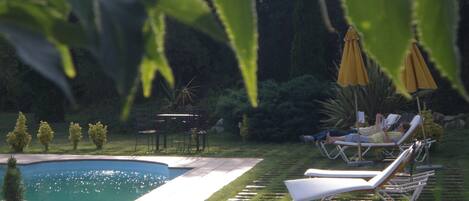 A swimming pool with lounge chairs and umbrellas, surrounded by greenery.