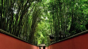 Uma trilha ladeada por bambus altos e paredes vermelhas, que conduz a um edifício tradicional.