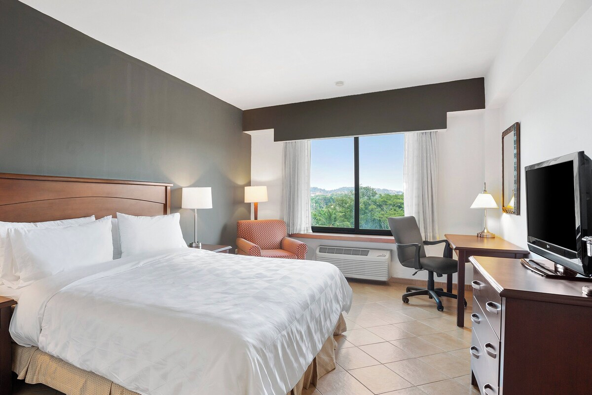 A hotel room with a large bed, two bedside tables with lamps, a desk with a television, a chair, and a window with a view of greenery.
