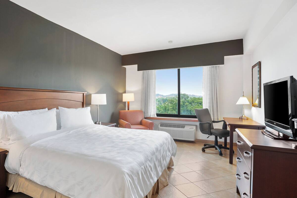 A hotel room with a large bed, two bedside tables with lamps, a desk with a television, a chair, and a window with a view of greenery.