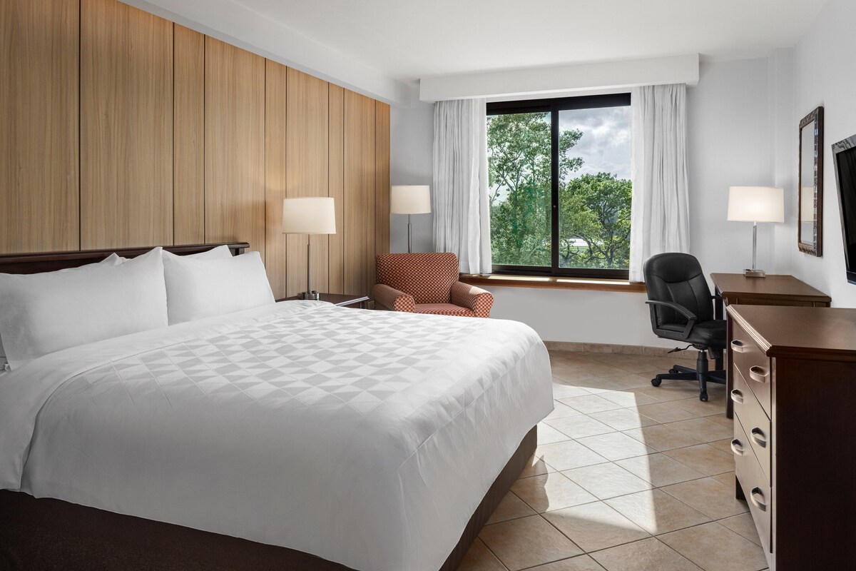 A hotel room with a large bed, two chairs, a desk, and a window with a view of trees.