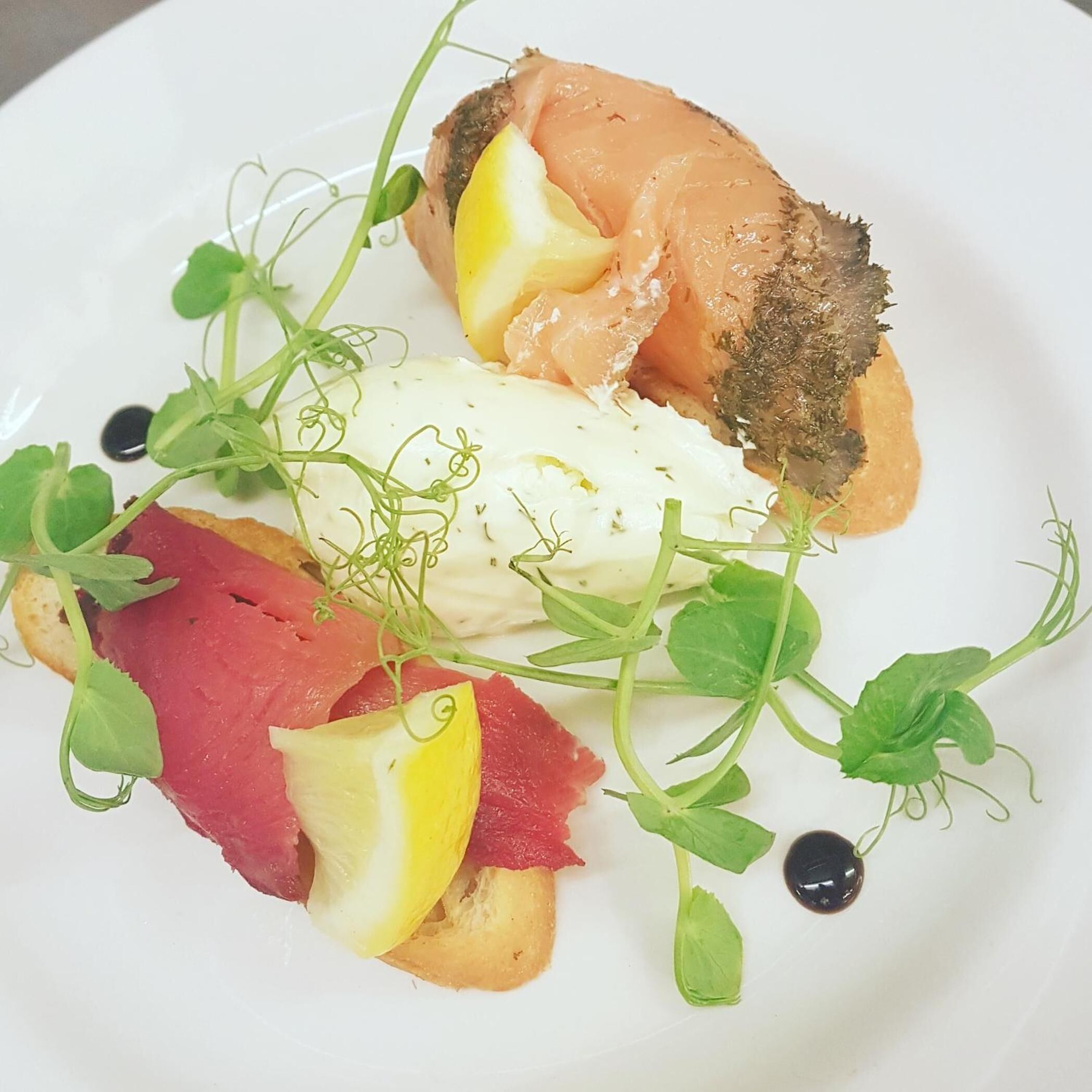 A plate with various food items including salmon, a creamy dish, and some greens.