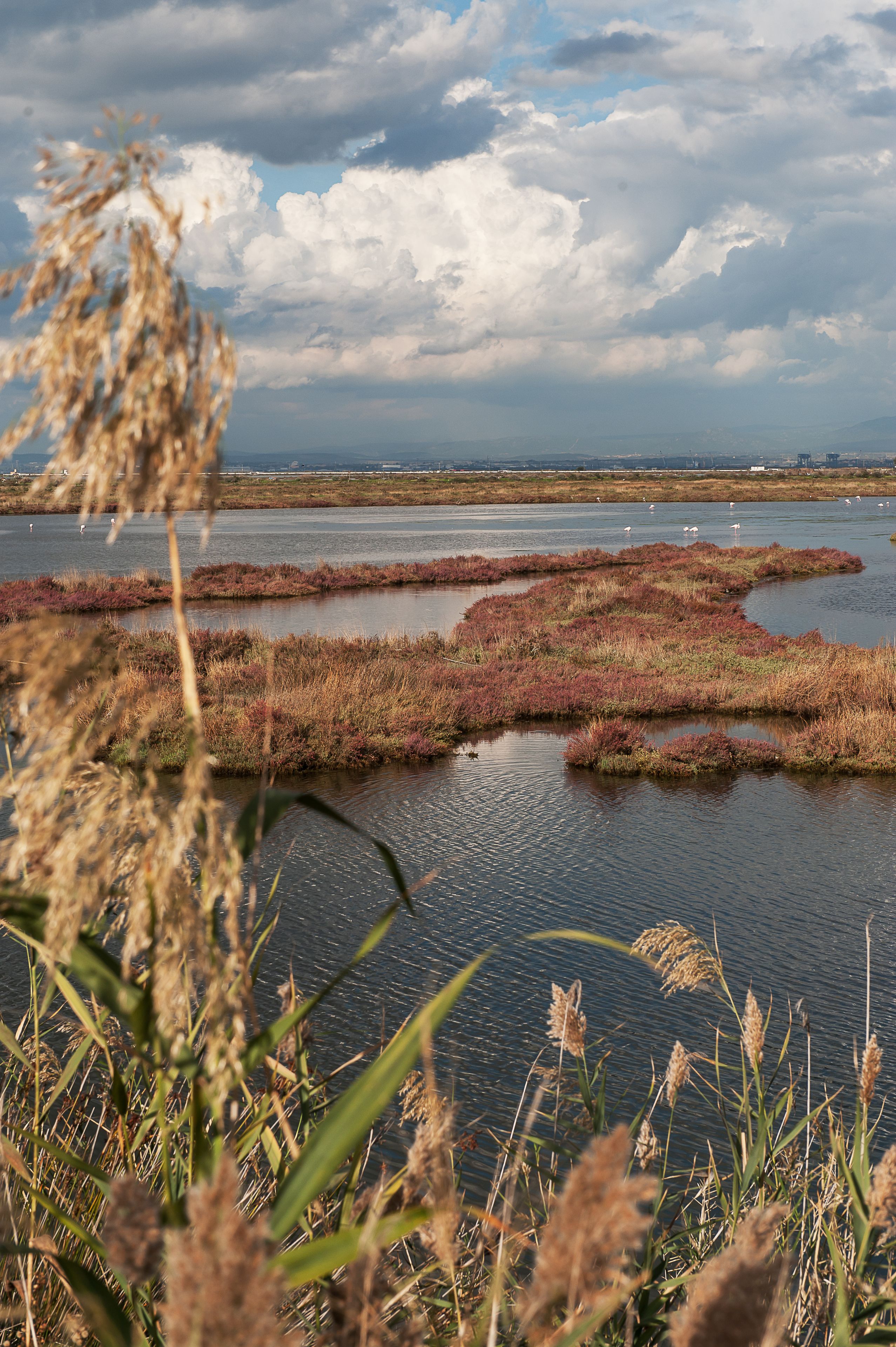 Un paysage naturel comprenant des étendues d’eau et de la végétation.