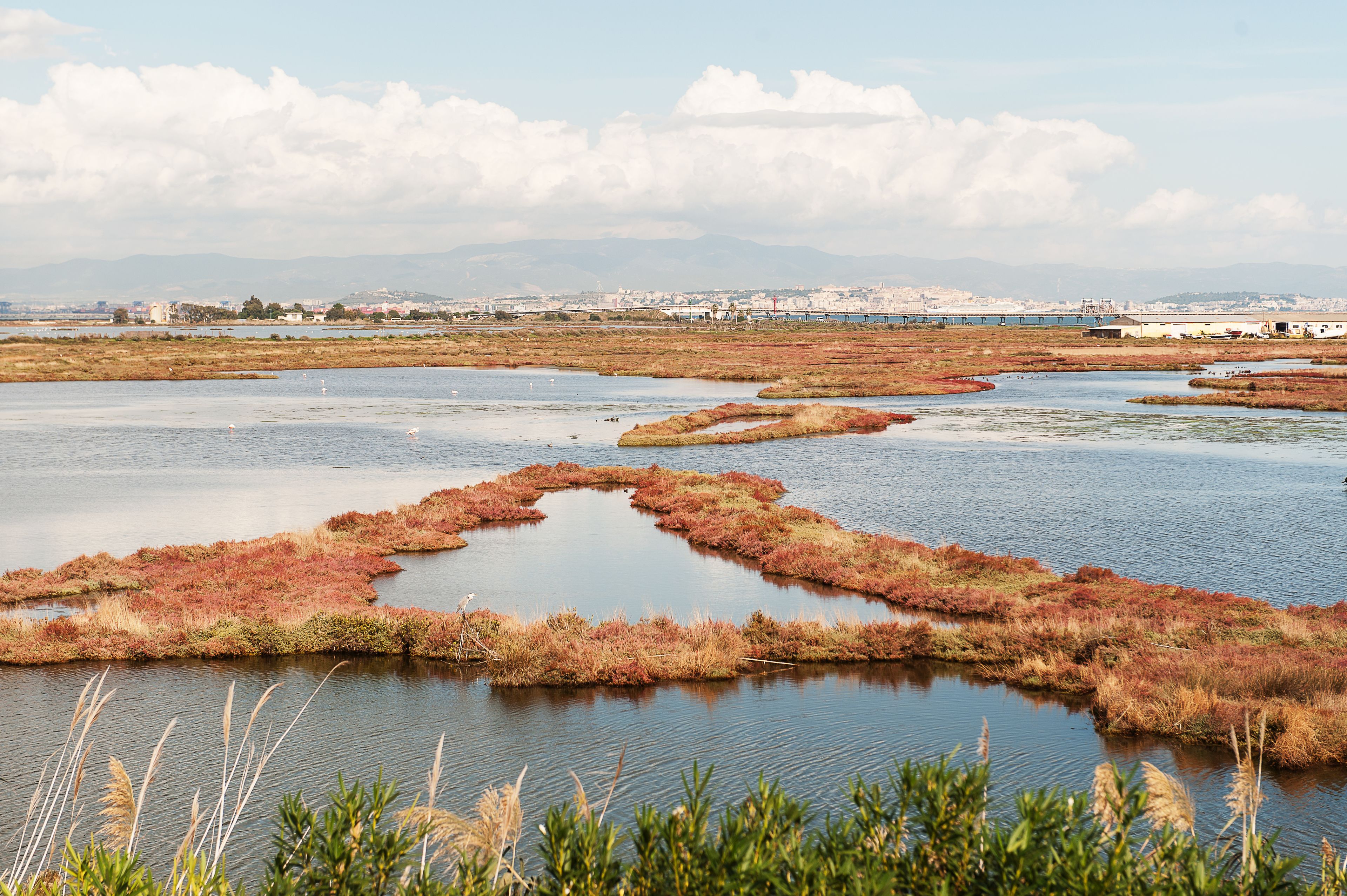 A coastal landscape with water bodies and vegetation.